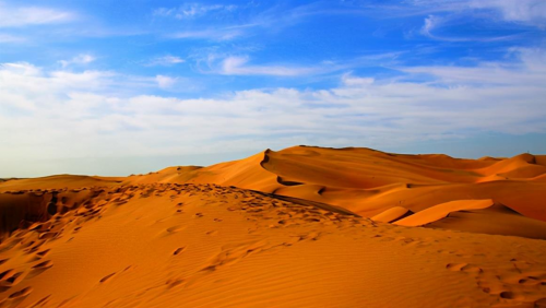 亿利资源集团库布其治沙模式 让沙漠变成一片绿色的海洋