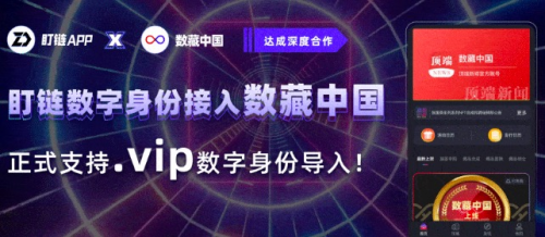 数藏中国与盯链深度合作，正式支持.vip数字身份导入