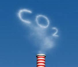 【碳•研究】低碳发展蓝皮书发布，Net Zero Capital（零碳资本）迎来发展利好