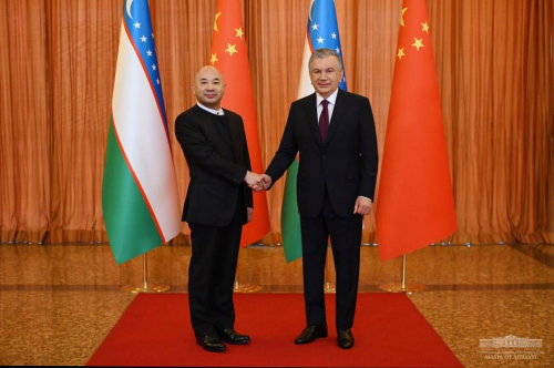 乌兹别克斯坦总统米尔济约耶夫与正威国际集团董事局主席王文银举行会谈 推动“一带一路”合作项目加快落地