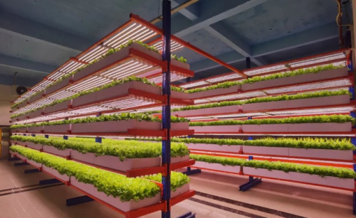 一种更高效、更可持续的农业形式——华宏农堂
