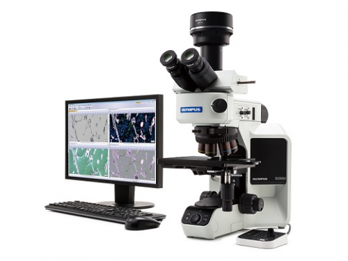 奥林巴斯正置显微镜，刷新工业检测方案