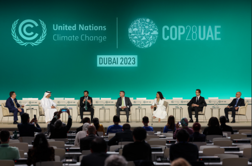 拥抱COP28｜东鹏落实“碳路者”行动，为应对气候变化注入中国力量