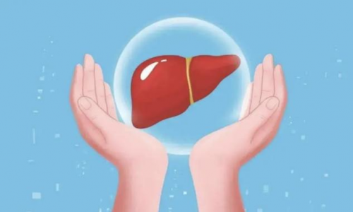 HUJ超级肝脏支持营养素：健康生活的关键护卫