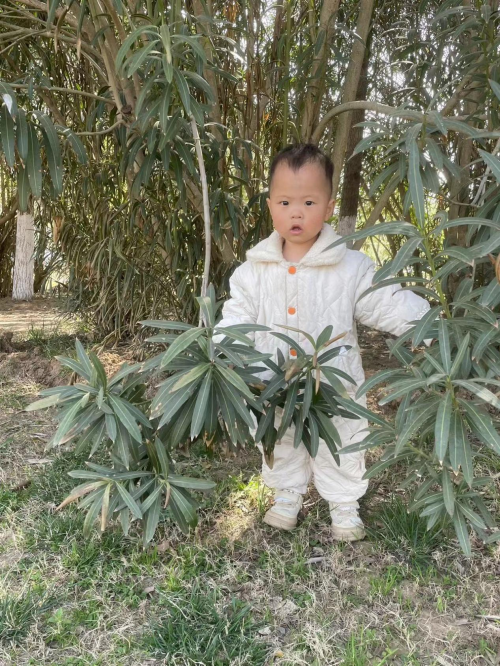 安徽阜阳急救！我的儿子汪沐辰患重型血友病，恳请帮助！！