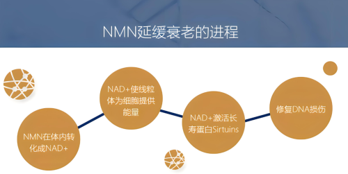三井制药NAD+：NMN是智商税吗？科学、市场与媒体报道视角下的深度剖析