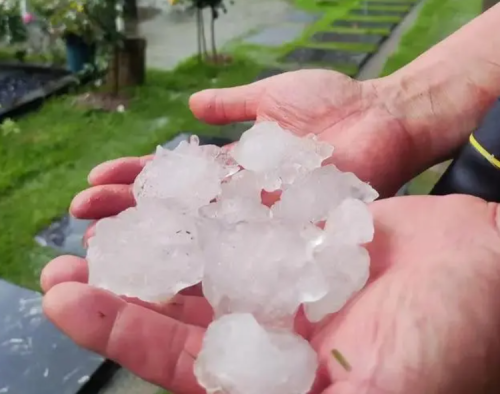 天晴防下雨，下雨防生病：三井NAD+引领细胞修复新时代，强化免疫防线