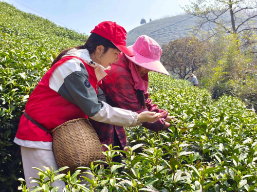 浙江德清：賡續(xù)“五四”薪火 凝聚青春力量