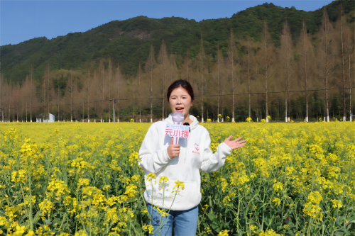 浙江慶元：“元小播”——將直播鏡頭聚焦在鄉(xiāng)野大地