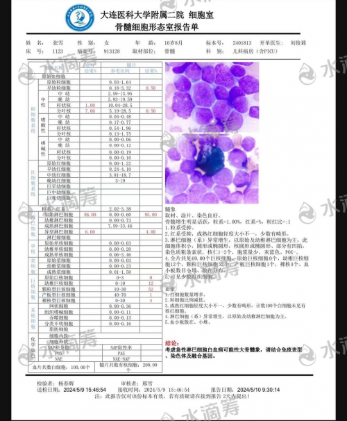 大连市11岁女孩张雪身患白血病、渴望重返校园，家人紧急求助、帮帮她！