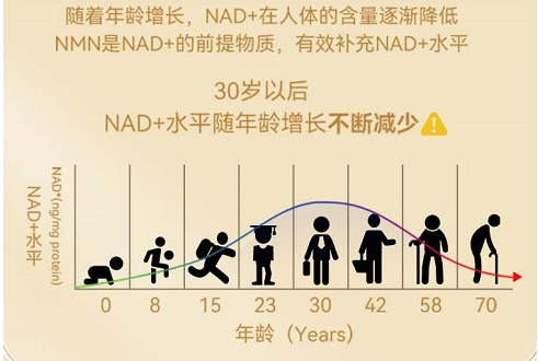 气候挑战下，长寿可能毫无意义？与此同时，科学家们正在探索如何延长寿命