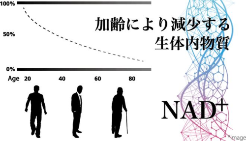 “青春丸”的秘钥——深挖日本NMN产品的抗衰老奇迹