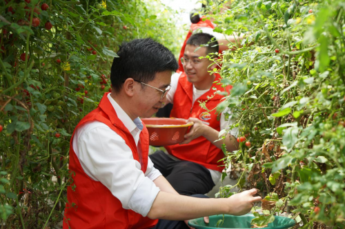 花香果紅香溢忙 田間地頭助農(nóng)樂