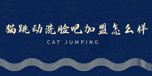 猫跳动洗脸吧加盟怎么样