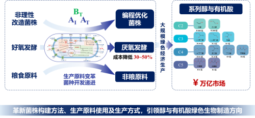 守护全民健康美打造绿色制造新引擎 湖北大学这一团队实现大宗醇酸非粮生物合成