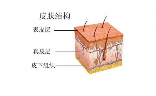 分层抗衰主要抵抗哪一层？润致娃娃针献上维持面部年轻新思路