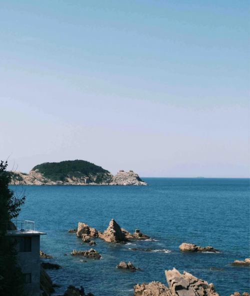 山东威海54岁妈妈柱赵月英不幸身患急性白血病，急需治疗费50万，女儿含泪求助！