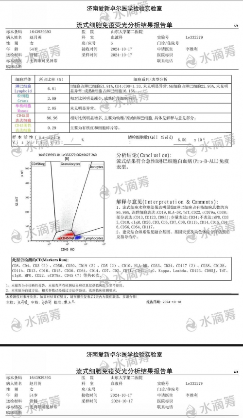 山东威海54岁妈妈柱赵月英不幸身患急性白血病，急需治疗费50万，女儿含泪求助！