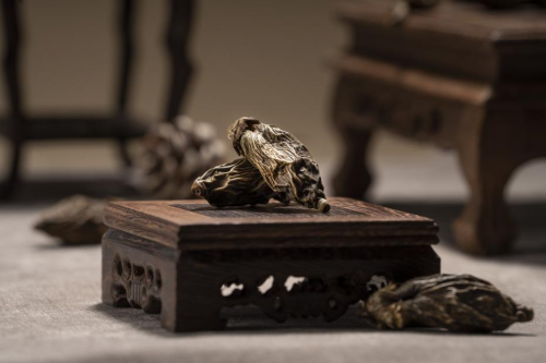 国礼中的槟榔文化：品味亚洲文化交融的独特韵味