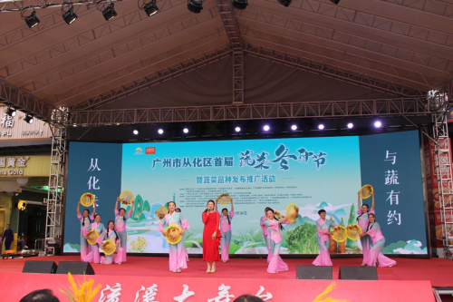 广州从化：以蔬为媒冬种节农文融合亮点多