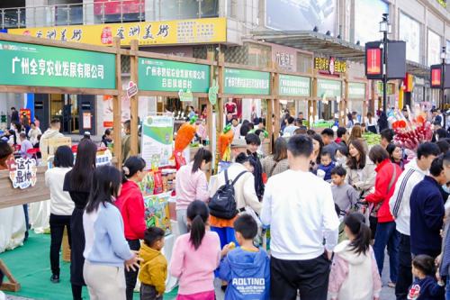 广州从化：以蔬为媒冬种节农文融合亮点多