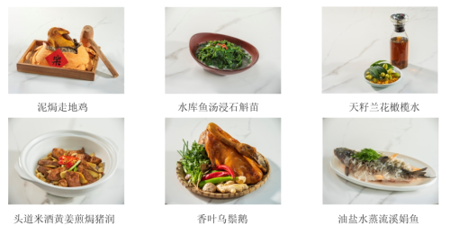 广州从化：以蔬为媒冬种节农文融合亮点多