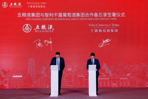 携手智利干露魔爵，五粮液打造中国白酒出海新样本
