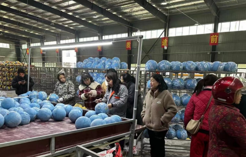 江西都昌：精准搭建就业供需平台 助力企业实现“开门红”