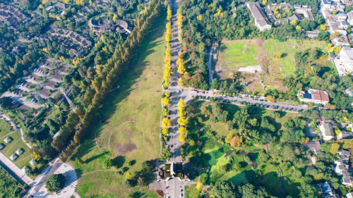 成都市第54届越野赛青城登山赛冬至启幕  青城山下，共赴热血奔跑之约