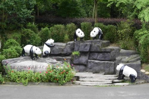成都市第54届越野赛青城登山赛冬至启幕  青城山下，共赴热血奔跑之约