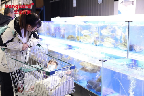 以新跨年，12月31日华润万家西青枫雅印象城店焕新出发