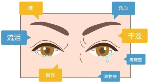 兰州爱尔眼科医院丨干眼症:现代“打工人”的隐形威胁(图1) 兰州爱尔眼科医院丨干眼症:现代“打工人”的隐形威胁(图1)