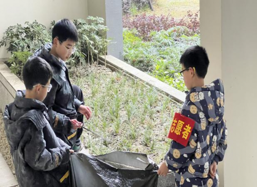 “童眸守绿境，兴盛美家园”  西华街道兴盛社区青少年环保志愿服务活动