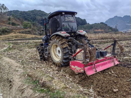 广西凌云烟区：春润烟田备耕时 丰收华章始开篇