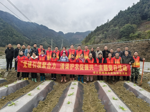 党建引领践初心 清渠护航促振兴