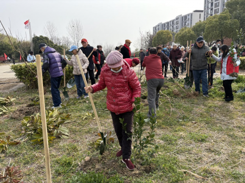 “曜阳同心”植希望  绿色养老谱新章