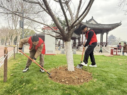 武汉市烟草专卖局：“植”此青绿 共树青春