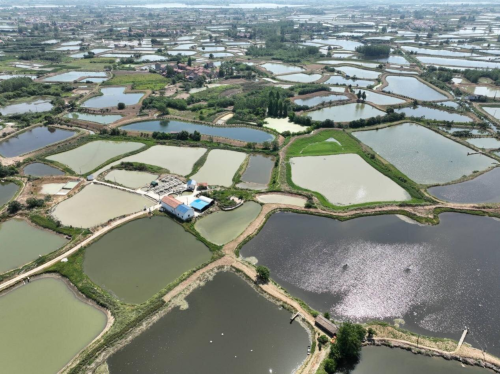 阳光财险：深耕荆楚沃土 守护“鱼米之乡”