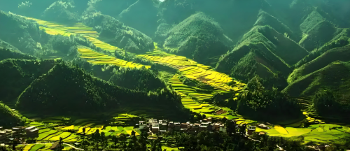 连山电商构建乡村振兴新范式，民族文化赋能“湾区北引擎”