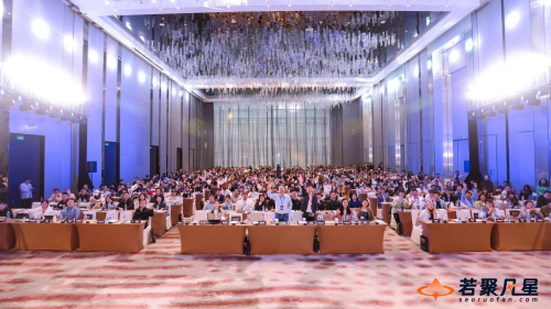 千人齐聚深圳湾！2025独立站实战研讨会圆满落幕，行业大咖共话SEO与广告增长新趋势
