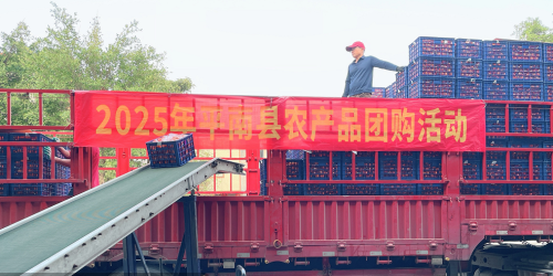 桂畔平南香漫路，团购助农果盈仓