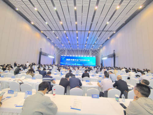 2025 la Conférence sur le développement industriel de la vallée de la dent en Chine signe 12 projet