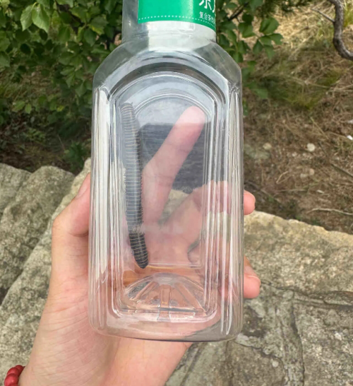虫害手册：千足虫最好消灭方法，千脚虫怎么彻底消灭用什么药？