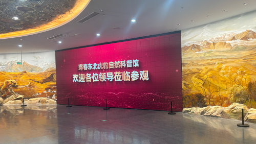 珲春东北虎豹自然科普馆多媒体建设圆满收官，科技赋能开启生态科普新篇章