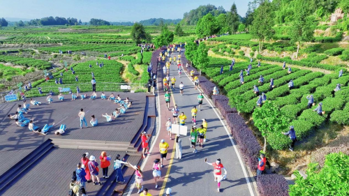 大地流彩2025年全国和美乡村健康跑（村跑）雅安名山站鸣枪开跑