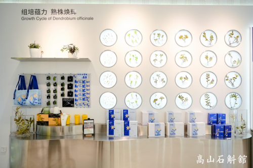植物医生首创高山石斛馆 诠释从古法淬炼到现代智造的中国成分演进之路