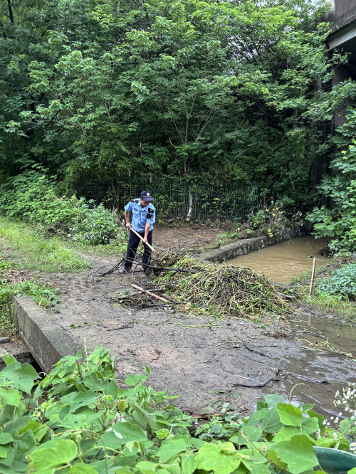 杭州余杭：风雨中的20分钟抢险战——小古城网格员高效疏通桥洞守护百亩农田