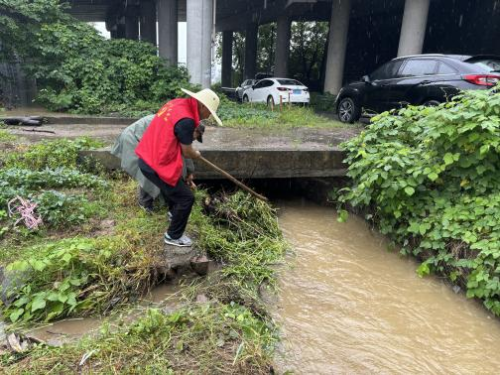 杭州余杭：风雨中的20分钟抢险战——小古城网格员高效疏通桥洞守护百亩农田