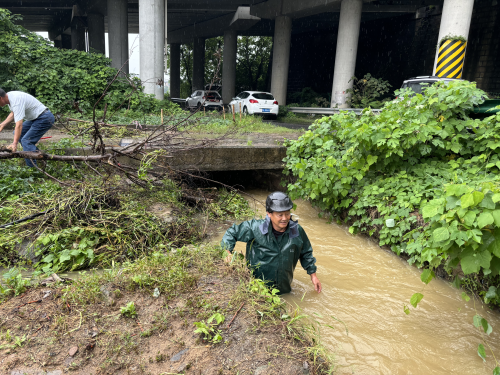 杭州余杭：风雨中的20分钟抢险战——小古城网格员高效疏通桥洞守护百亩农田