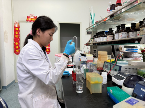 逐梦生物制药：杨蕊的职业成长与创新之路